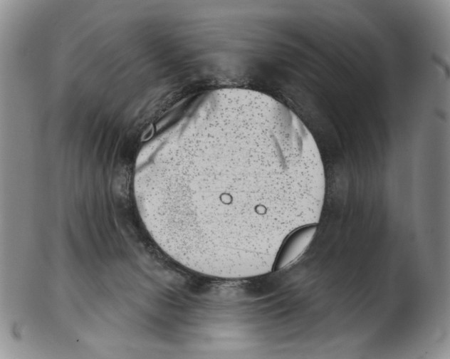 X0000102870078200809081215