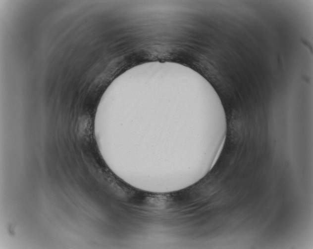 X0000102870079200809081215