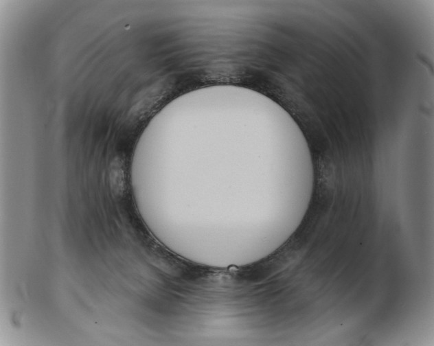 X0000102870080200809081215