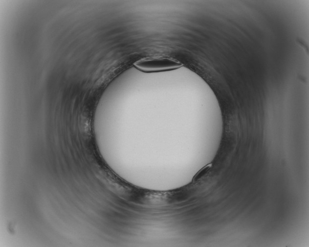 X0000102870084200809081215