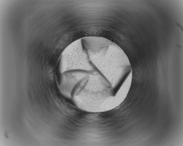 X0000102870086200809081215