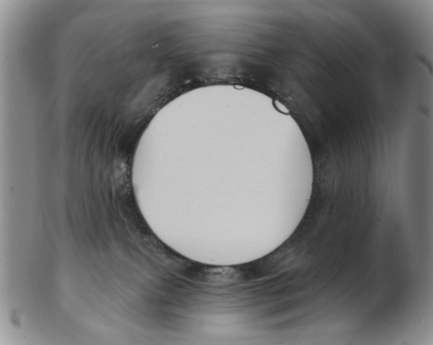 X0000102870087200809081215