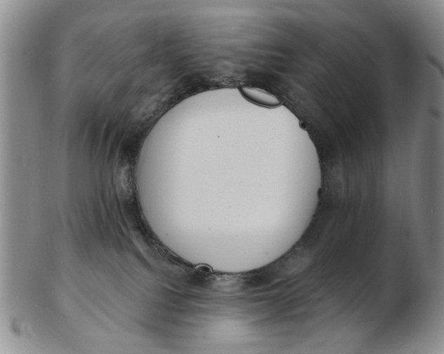 X0000102870088200809081215