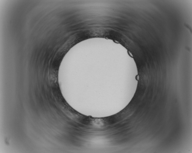 X0000102870091200809081215