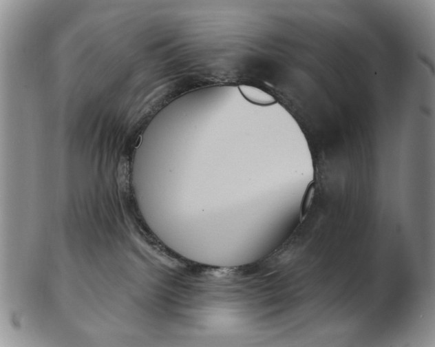 X0000102870092200809081215