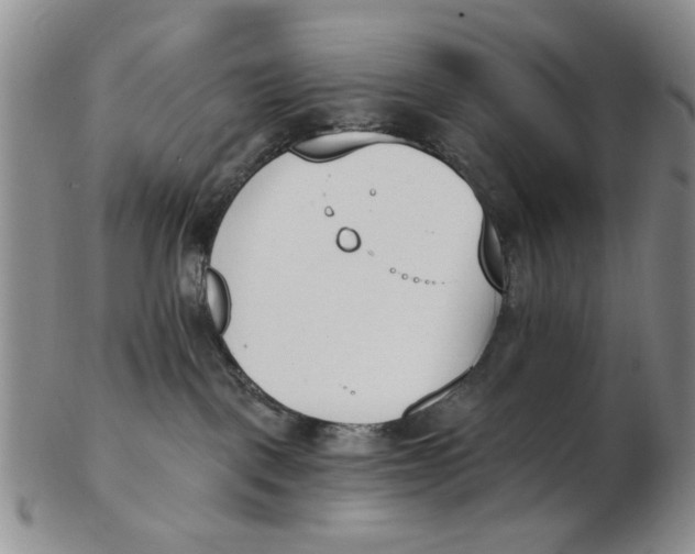 X0000102870093200809081215