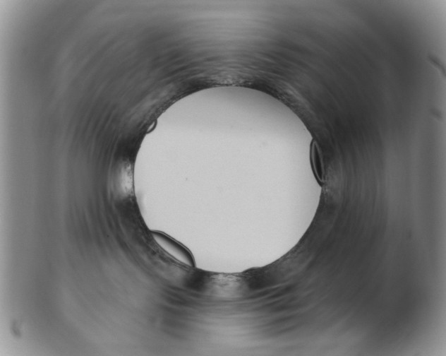 X0000102870095200809081215