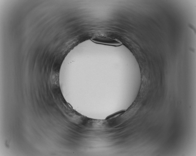 X0000102870096200809081215