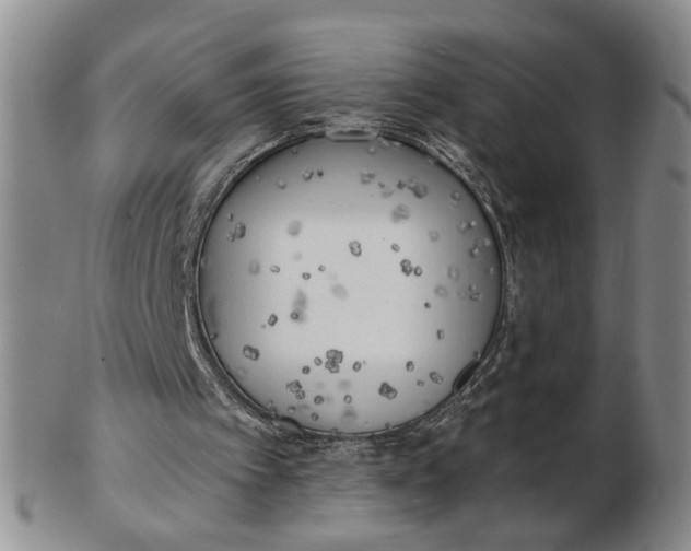 X0000102870097200809081215