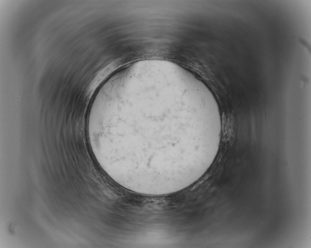 X0000102870099200809081215