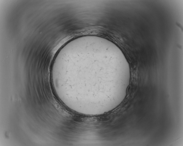 X0000102870100200809081215