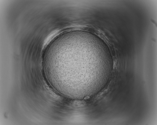 X0000102870101200809081215