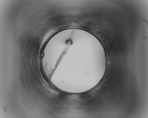 X0000102870102200809081215