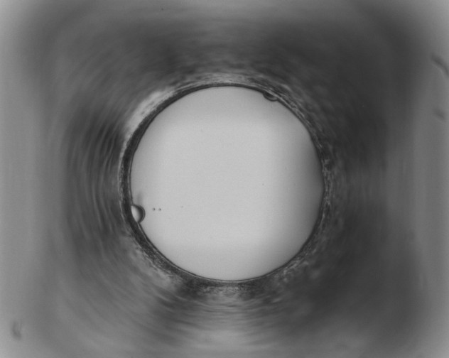 X0000102870104200809081215