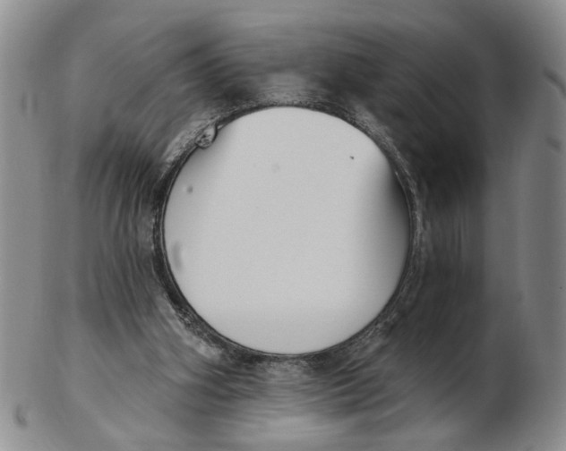 X0000102870106200809081215