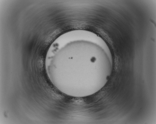 X0000102870113200809081214