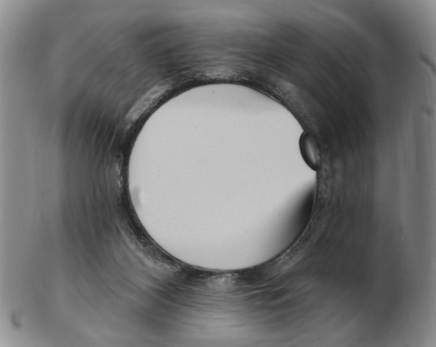 X0000102870116200809081214