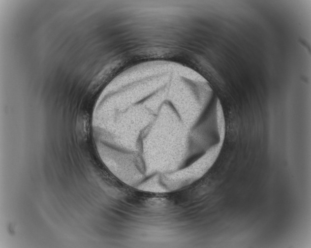 X0000102870119200809081214