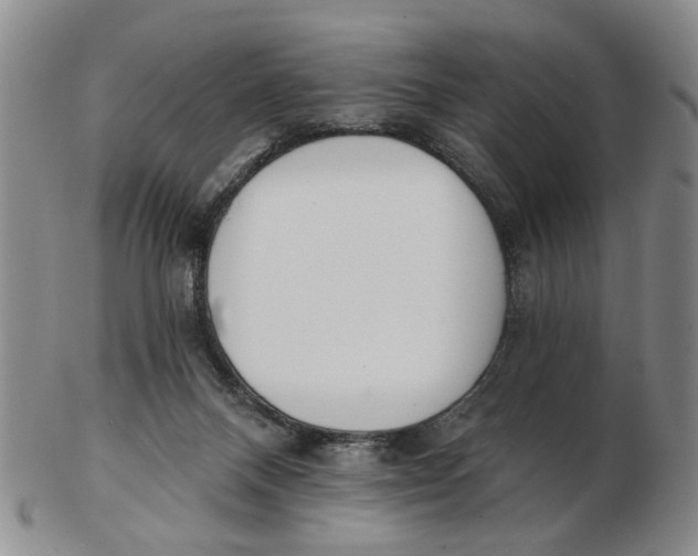 X0000102870120200809081214