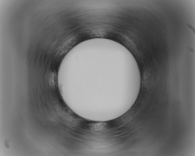 X0000102870122200809081214