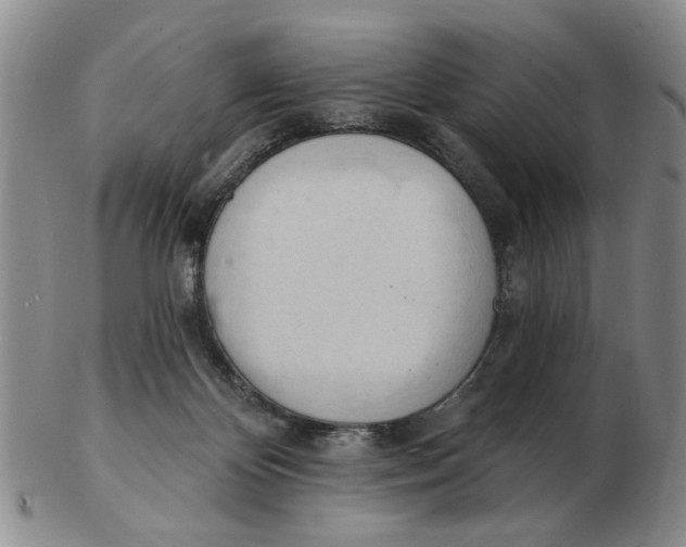 X0000102870124200809081214