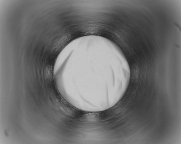 X0000102870126200809081214