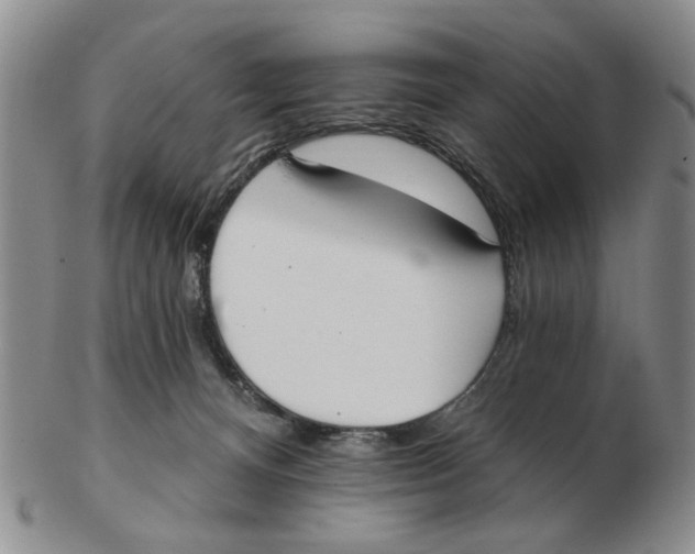 X0000102870128200809081214