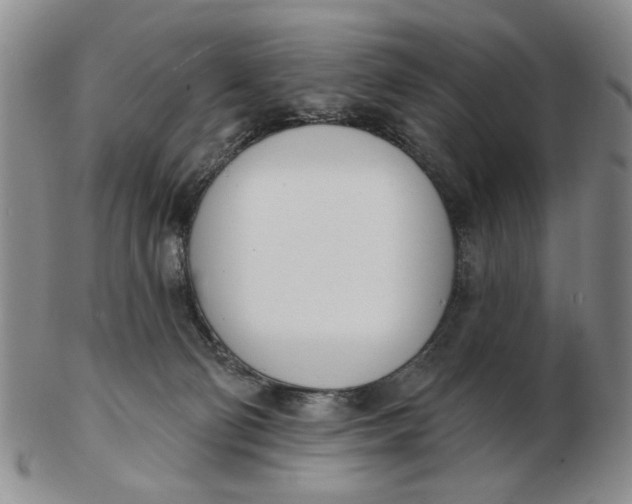 X0000102870130200809081214