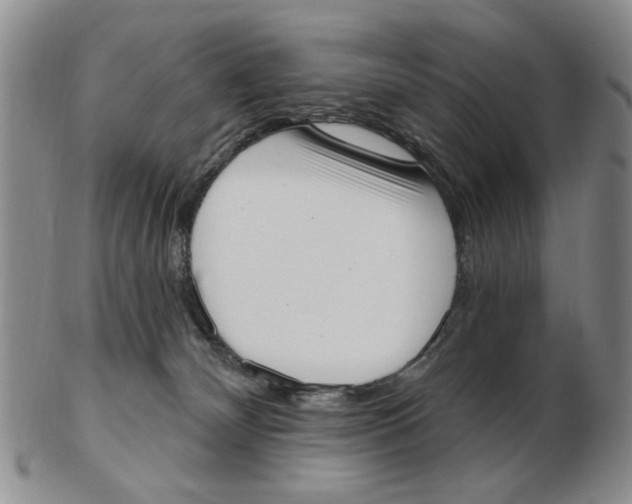 X0000102870132200809081214