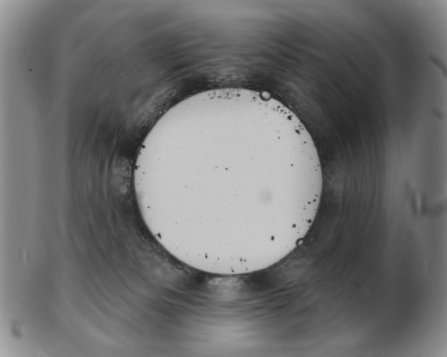 X0000102870133200809081214