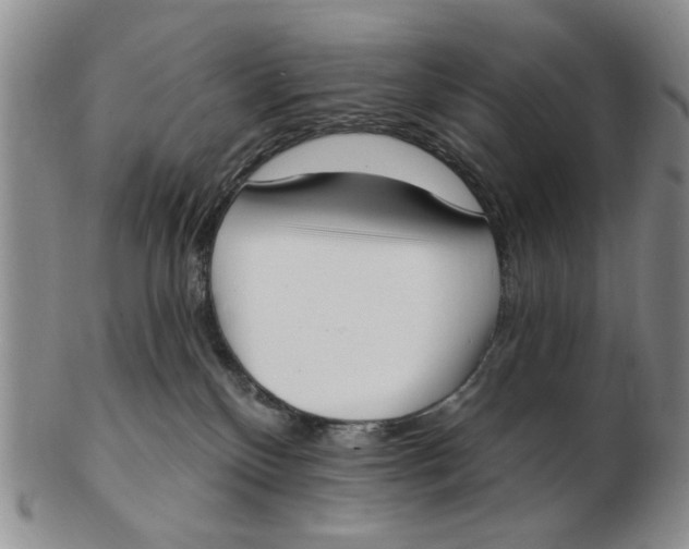 X0000102870136200809081214