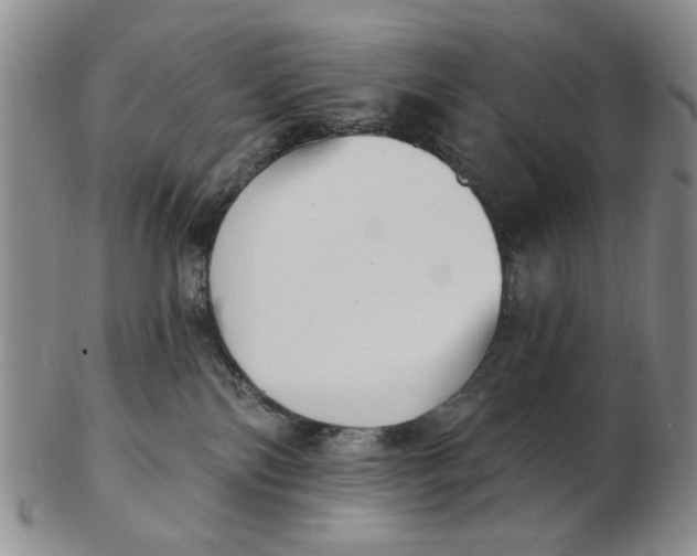 X0000102870138200809081214