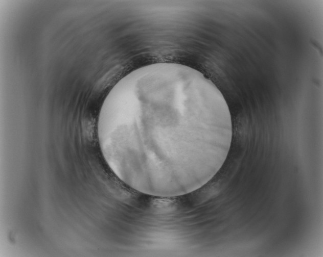 X0000102870139200809081214