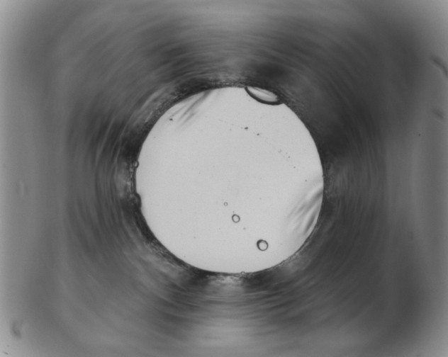 X0000102870140200809081214