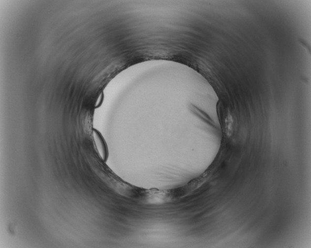 X0000102870143200809081214