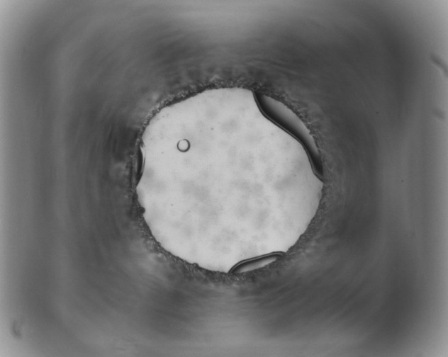 X0000102870144200809081214