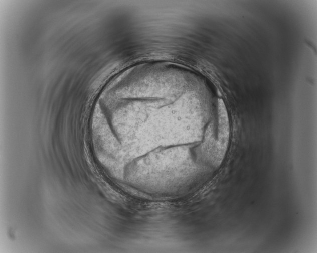 X0000102870145200809081213