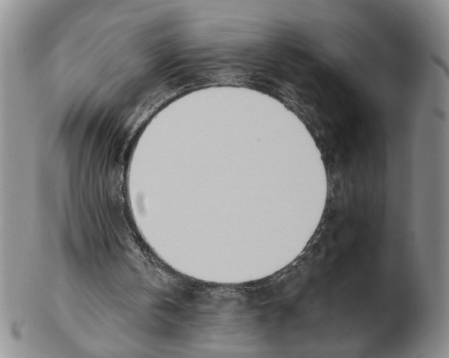 X0000102870146200809081213