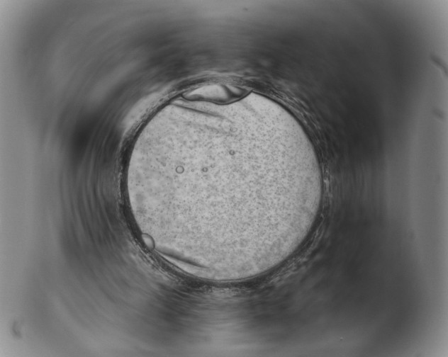 X0000102870149200809081213