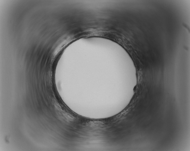 X0000102870150200809081213