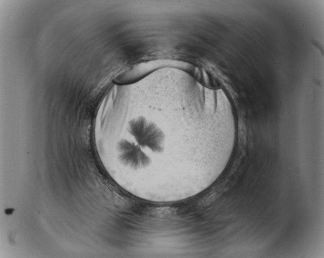 X0000102870153200809081213