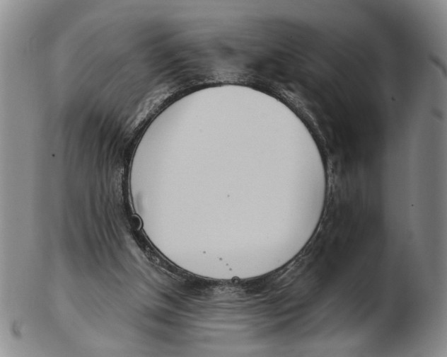 X0000102870154200809081213