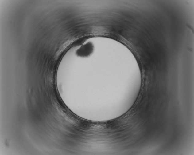 X0000102870155200809081213