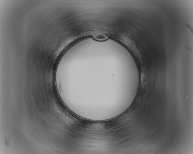 X0000102870156200809081213