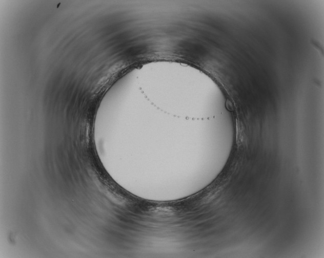 X0000102870157200809081213