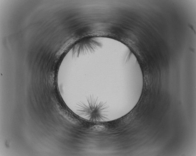 X0000102870159200809081213