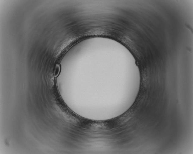 X0000102870160200809081213