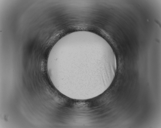 X0000102870161200809081213