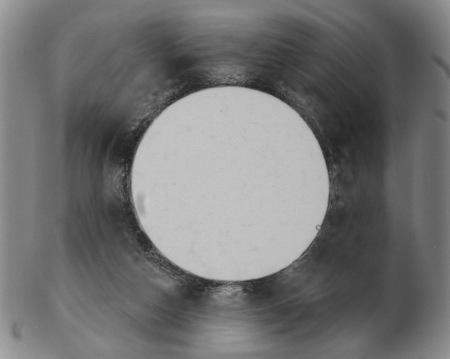 X0000102870162200809081213