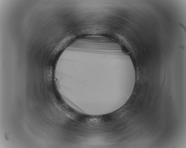 X0000102870163200809081213